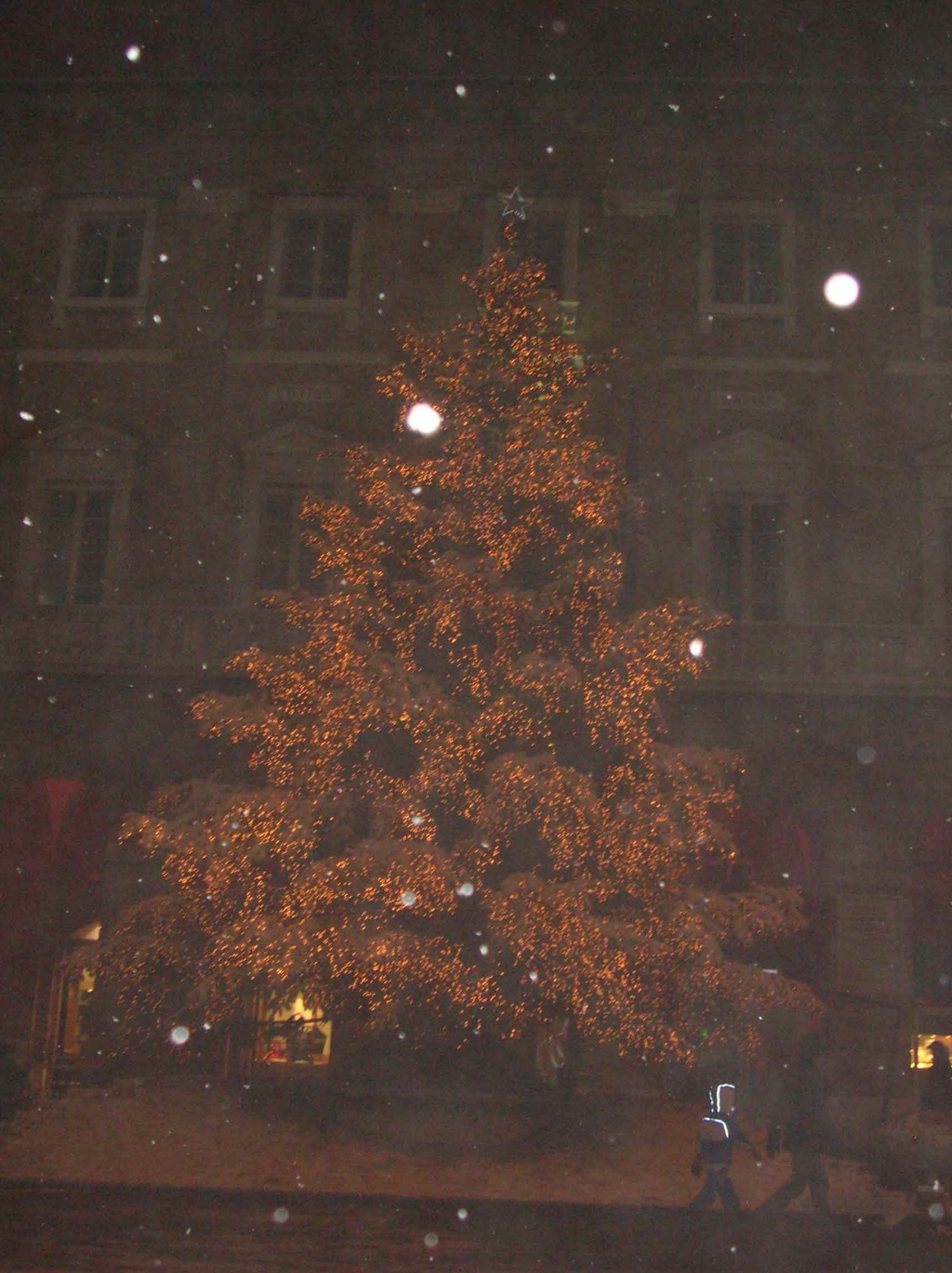 albero di natale1