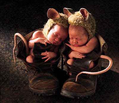 amori miei