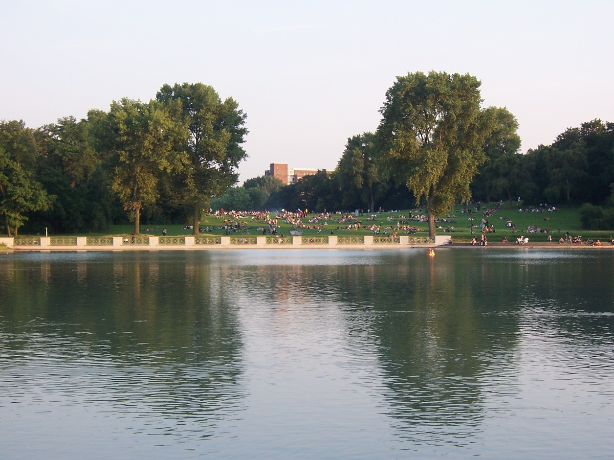 il mio giardino e l`acquario