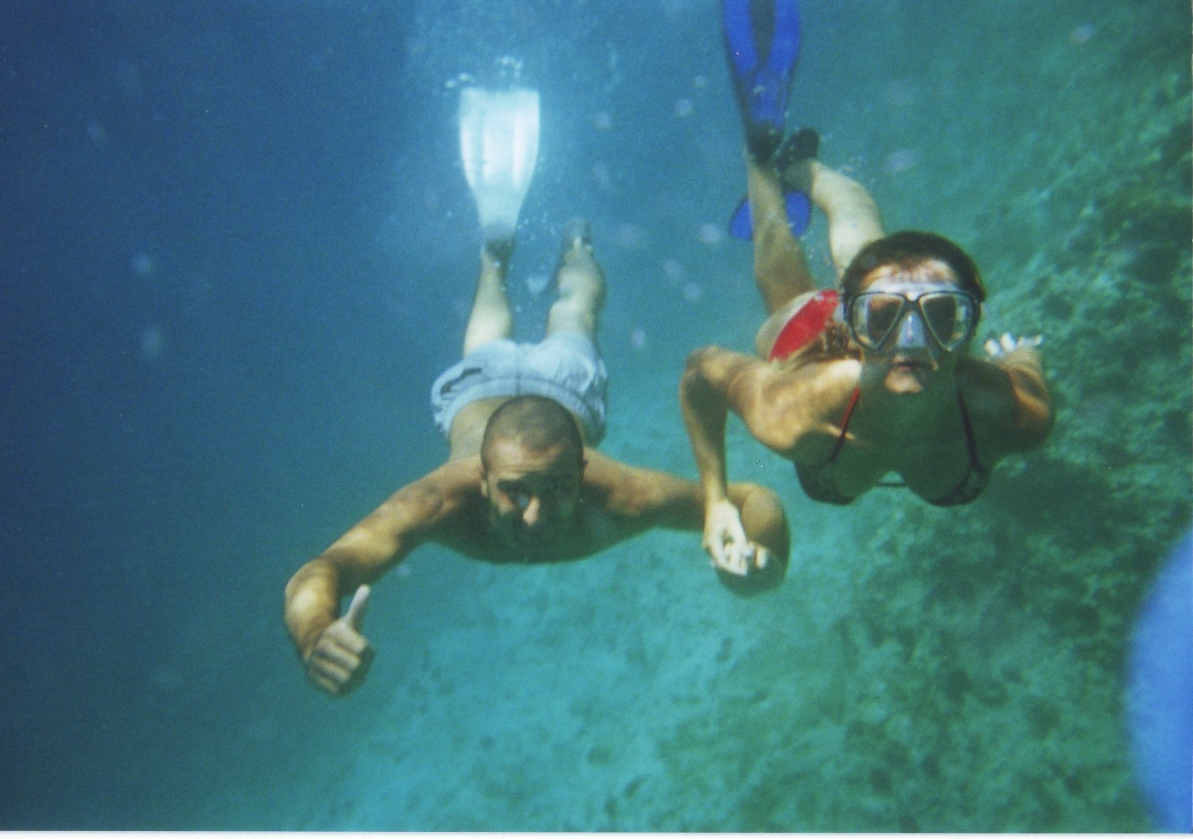 petrektek e cripstak