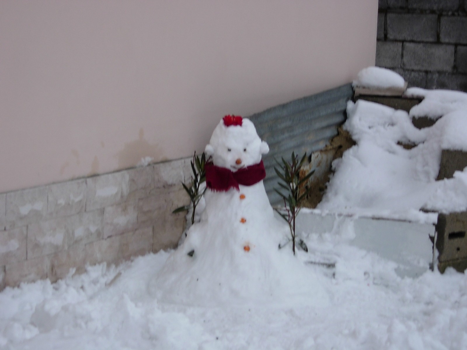 il papozzo di neve :sniffff: