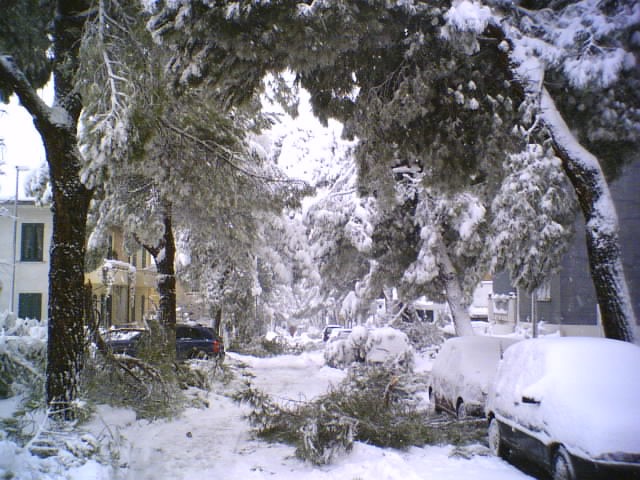 viale_marconi26/01