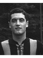 Gino Armano