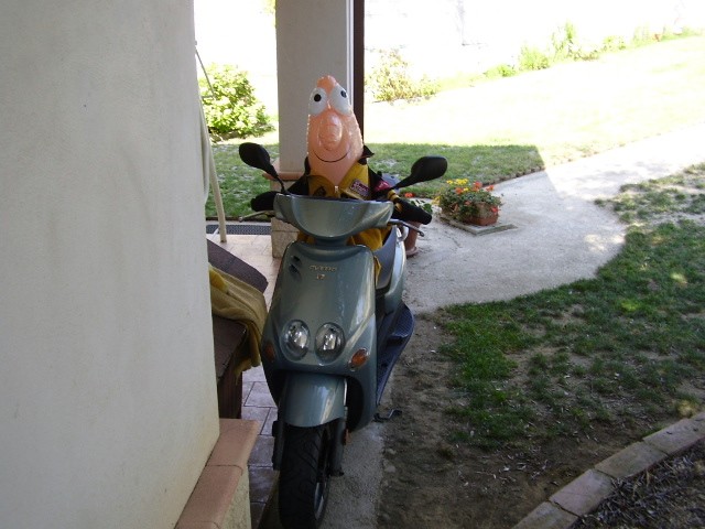 cazzinga on the vespa asd