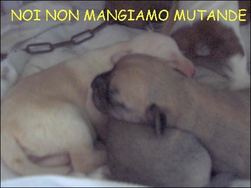 First slide