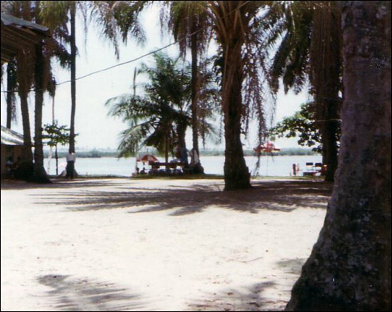 First slide