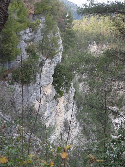 First slide